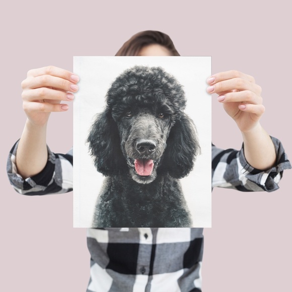 Watercolor Black Poodle Portrait Wall Art Print Poster, Unframed - Pet Artwork - Picture 4 of 6